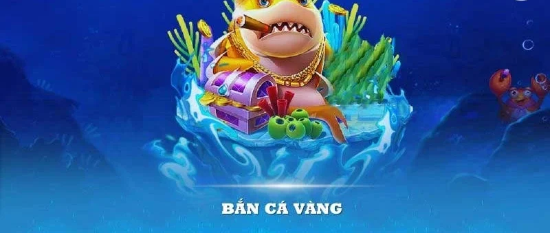 ban-ca-vang-abc8-anh-dai-dien